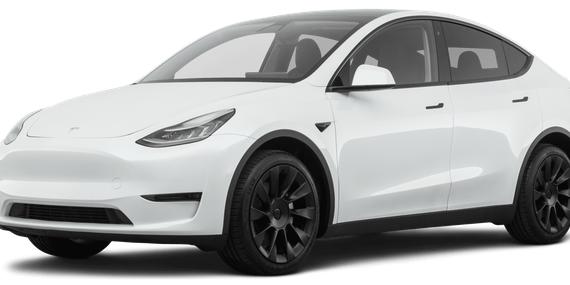 TESLA MODEL Y 2021 5YJYGDEE8MF083128 image